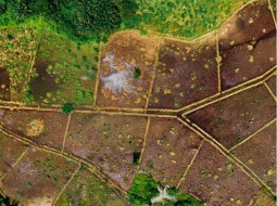 SAKİNTEPE İMAR PLANINDA 10 DÖNÜM SATILIK TARLA